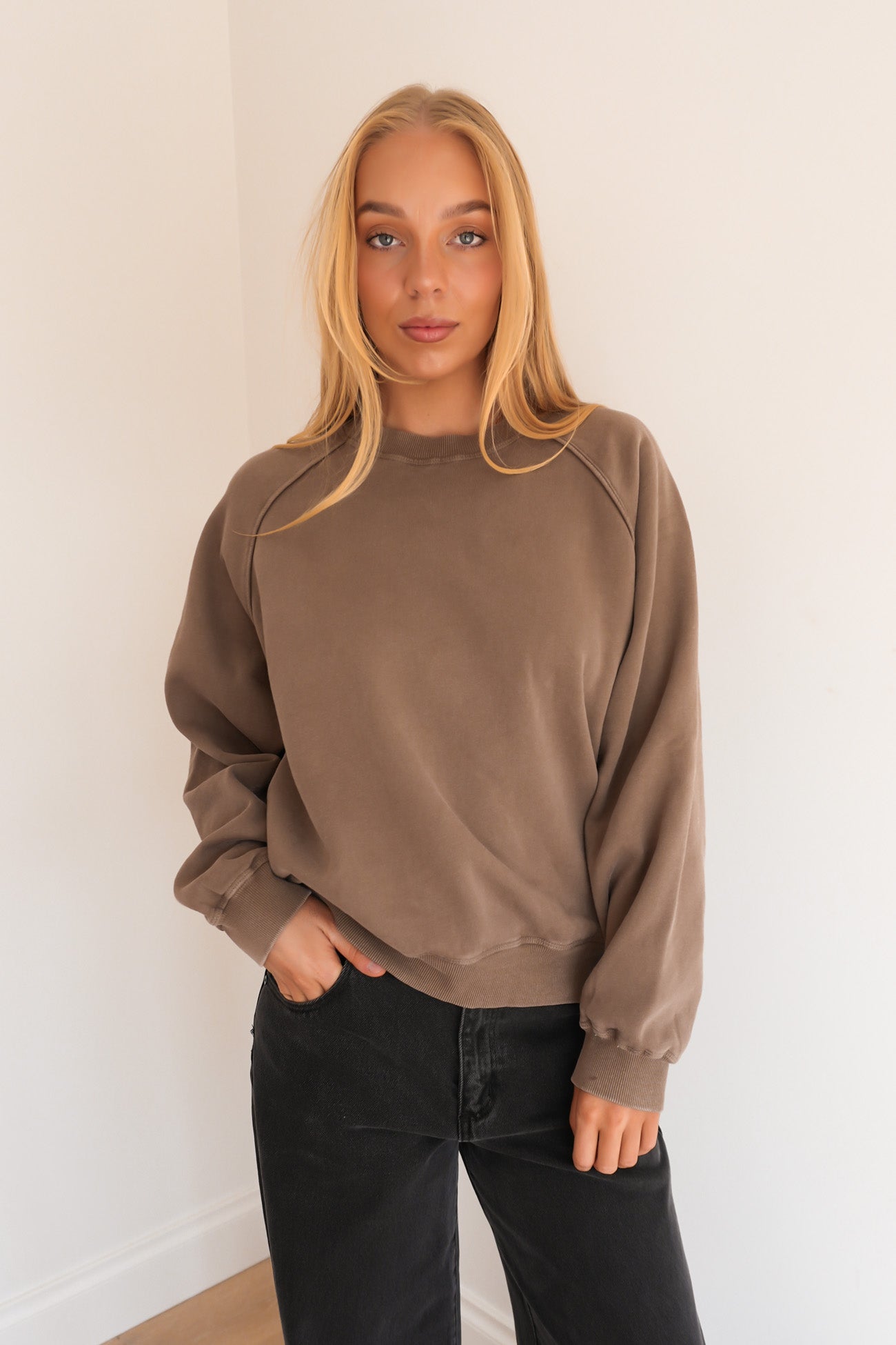 AAE Vintage Raglan Crew Stone