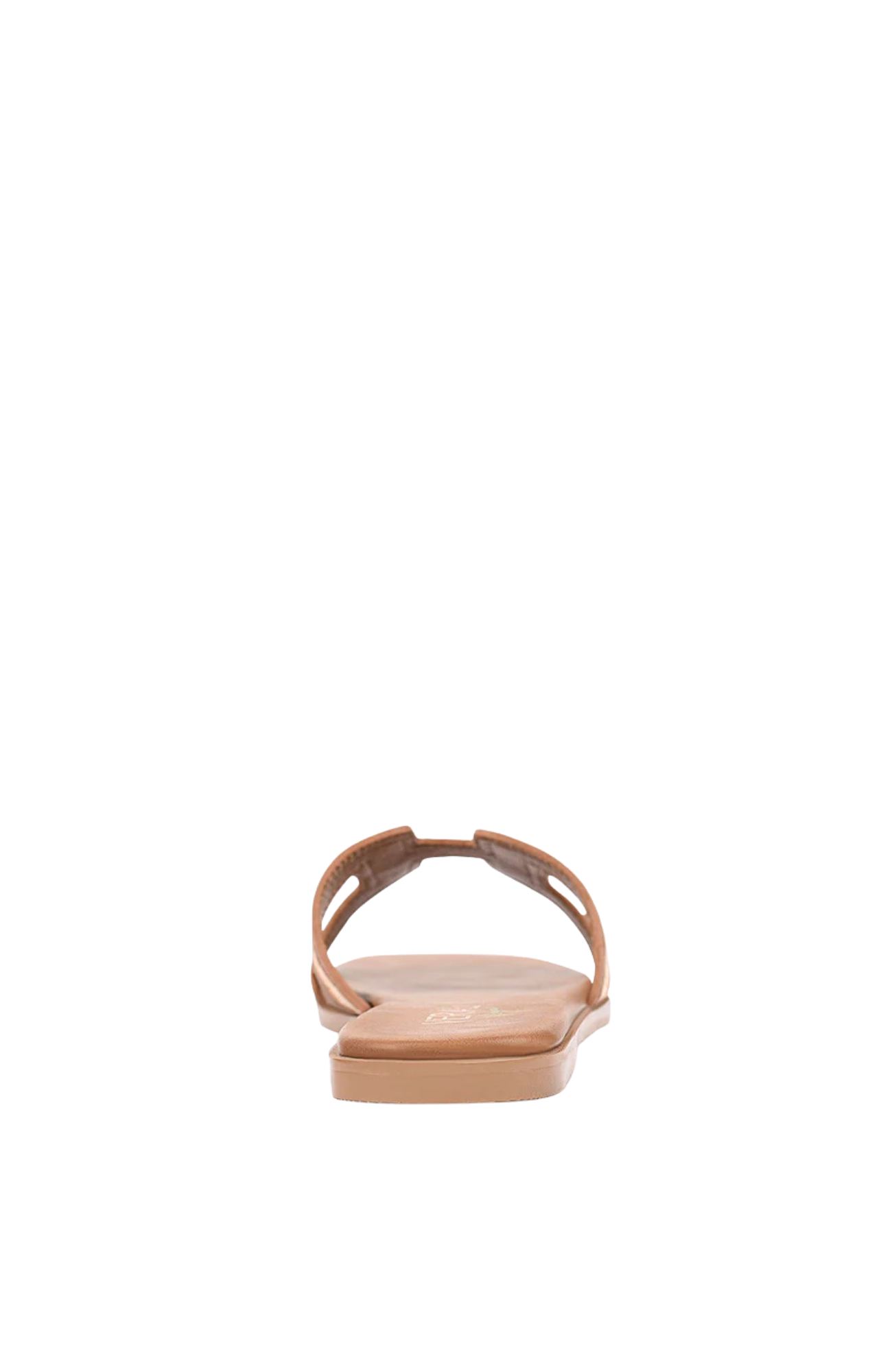Accessory Template - 2025-09-05T110430262