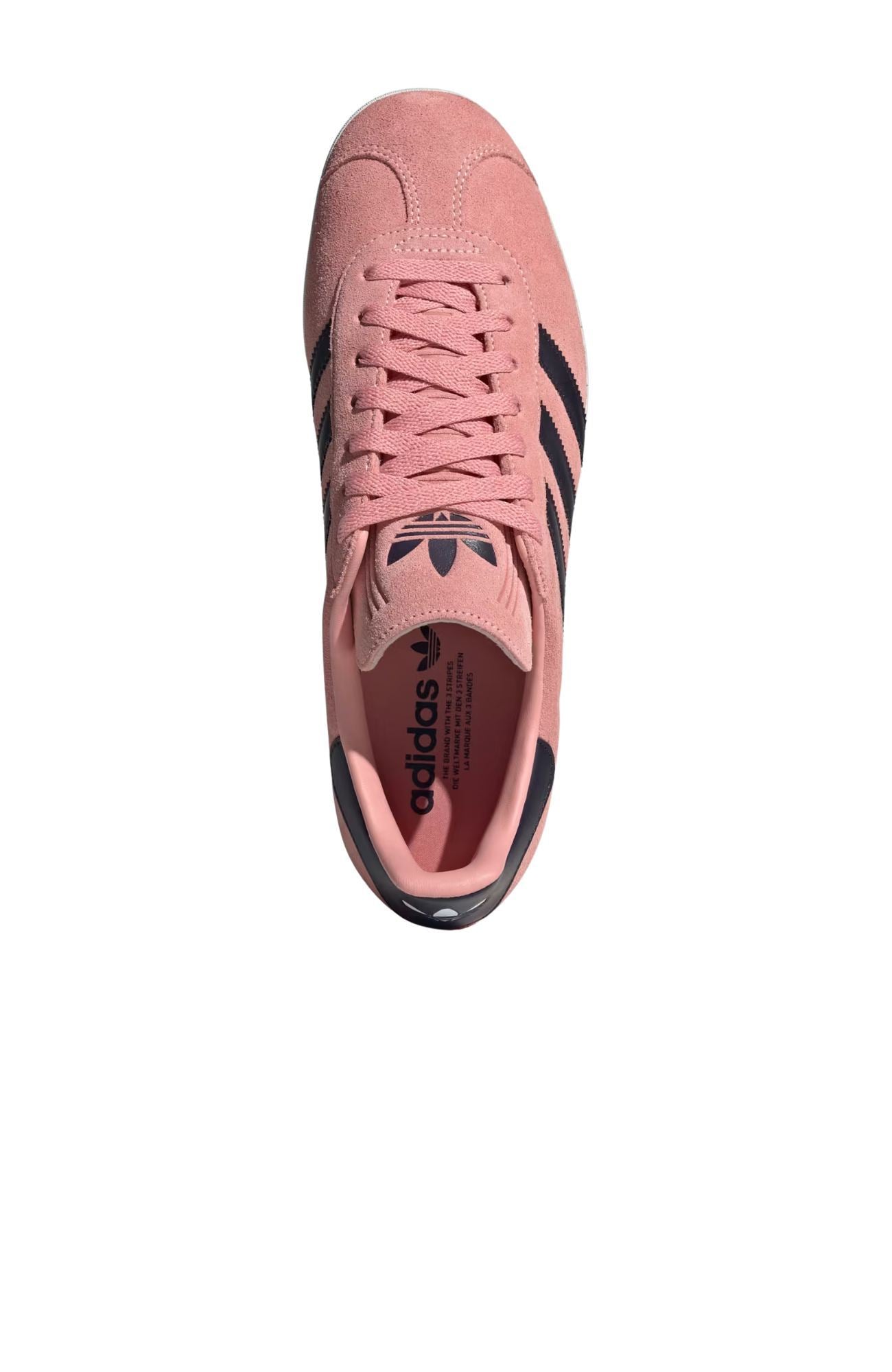 Gazelle Glow Pink Aurora Black Core White