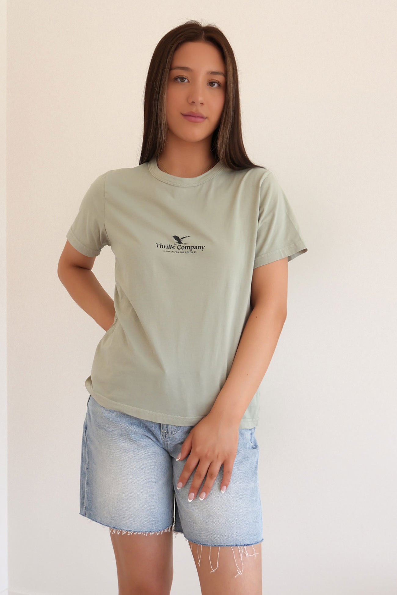 Haven For The Reckless Relaxed Tee Dirty Sage