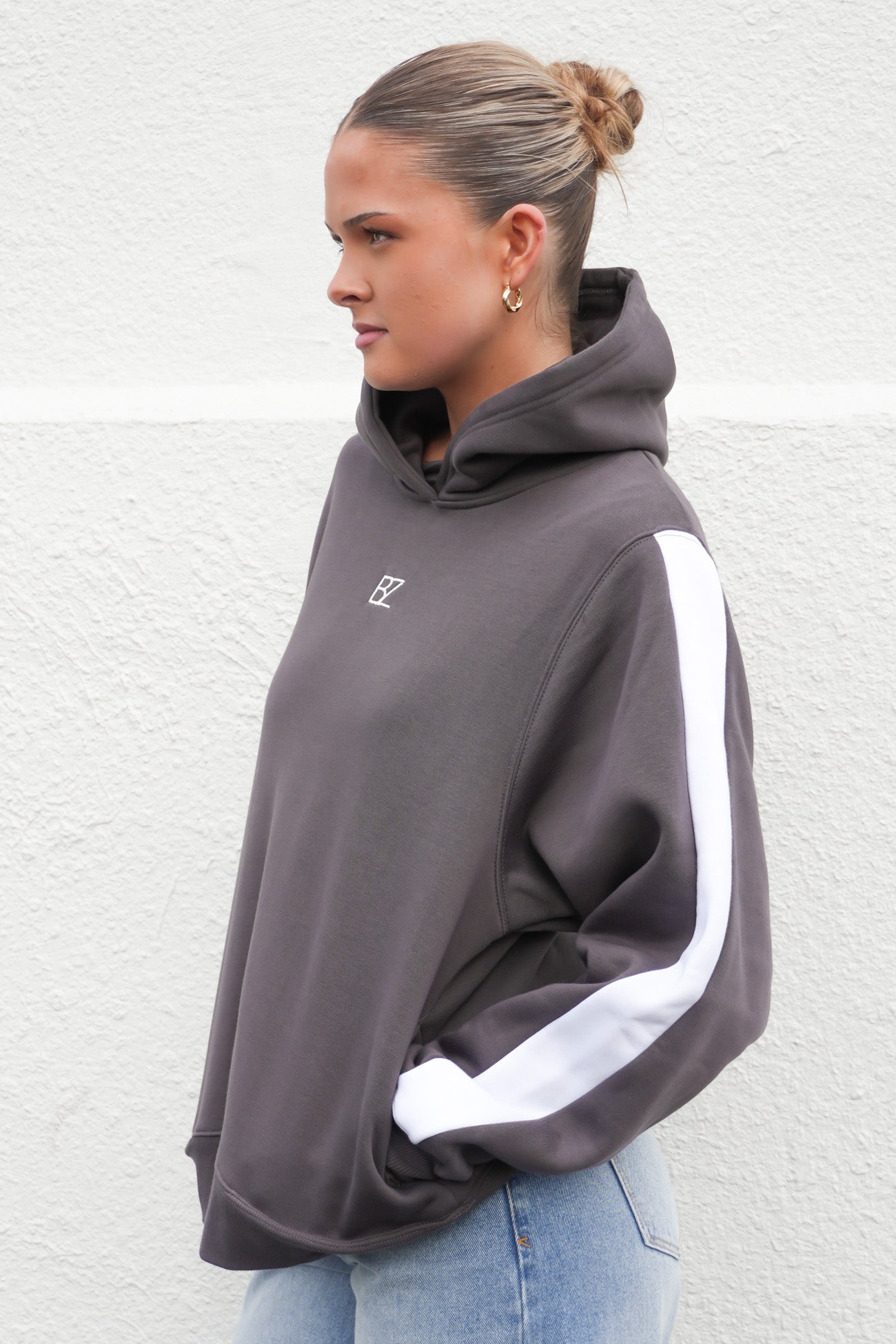 Journey Stripe Hoody