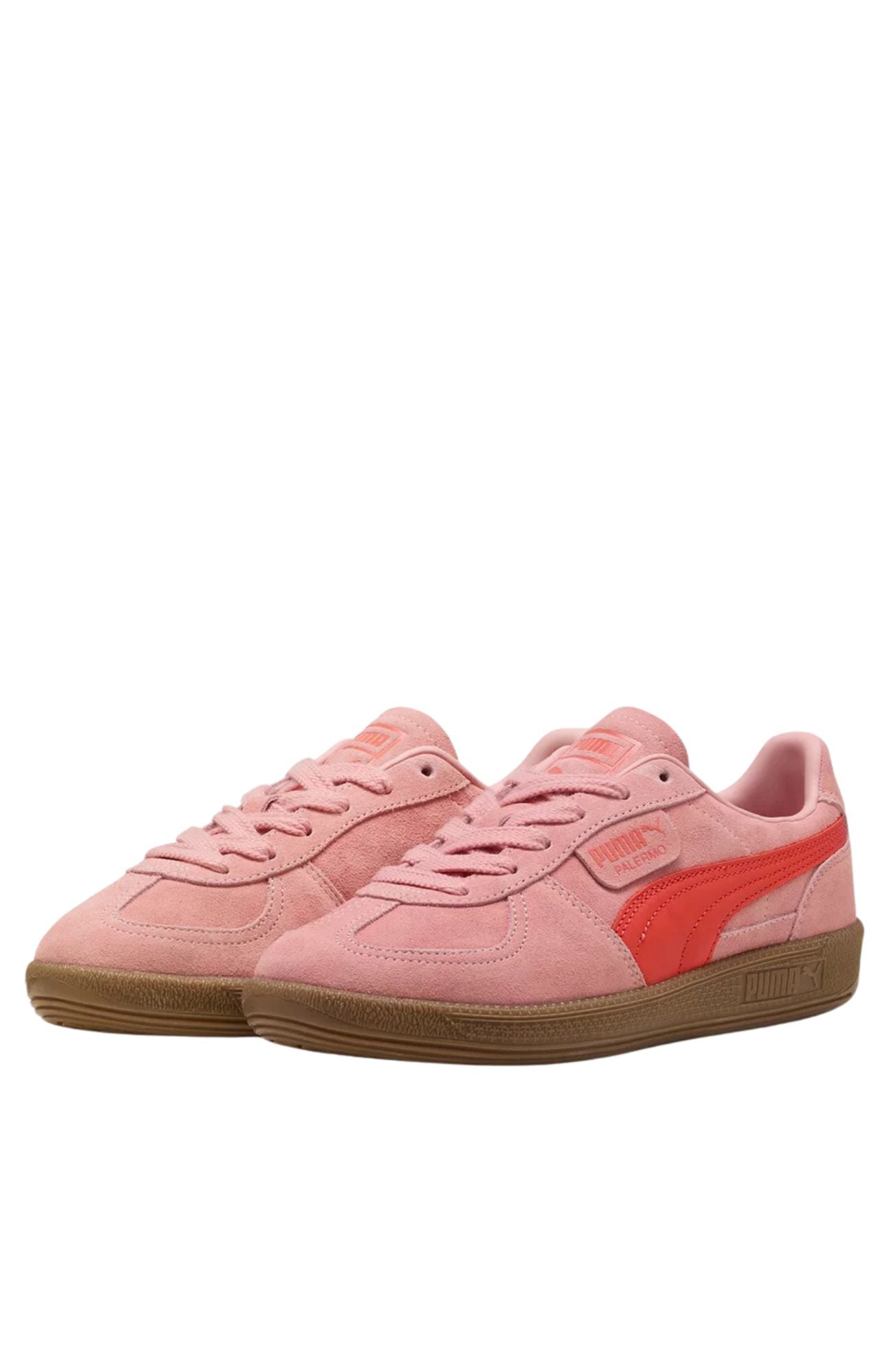 Palermo Rosy Outlook Gum