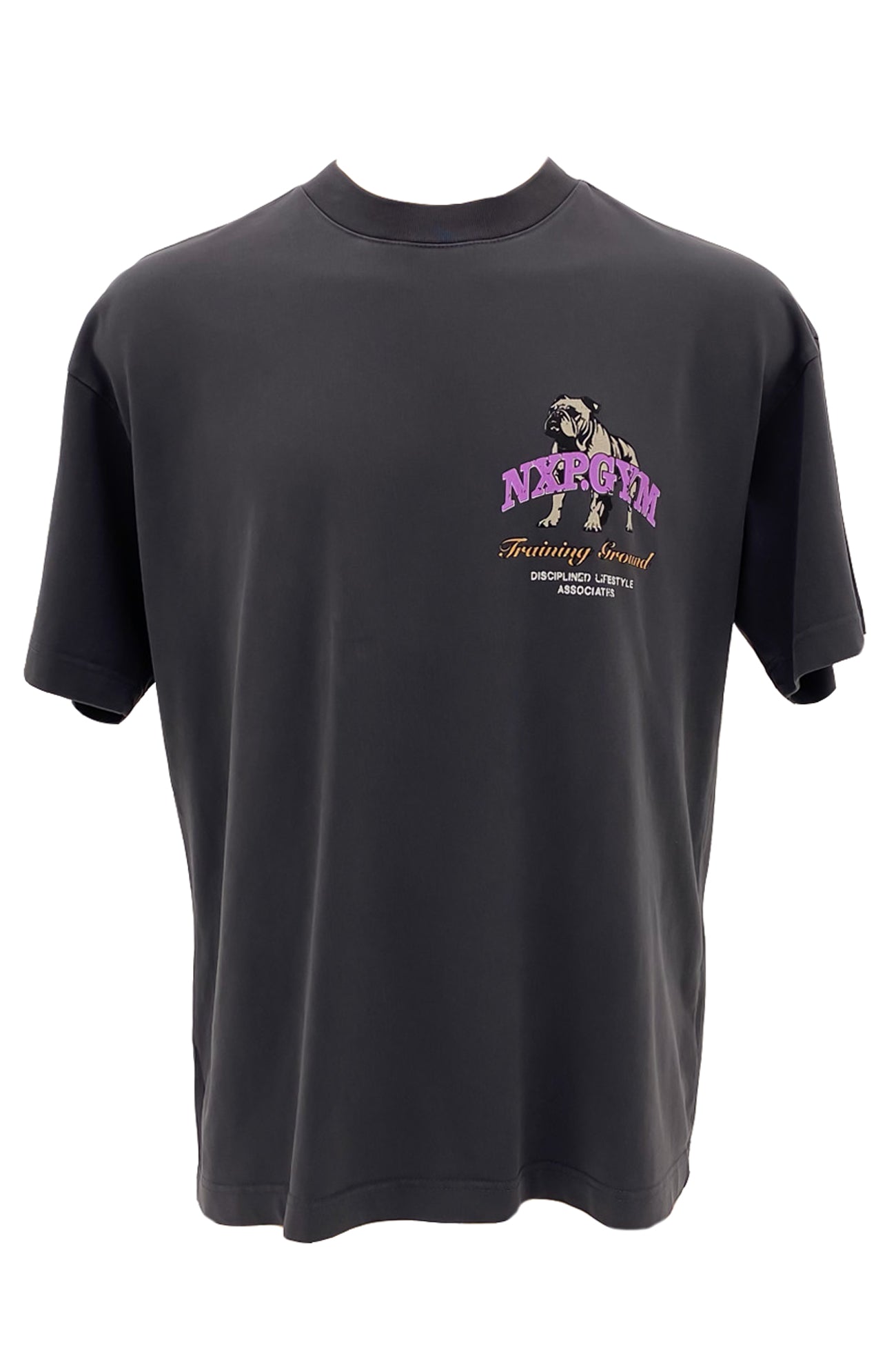 Parole Raptor Tee Pigment Asphalt f