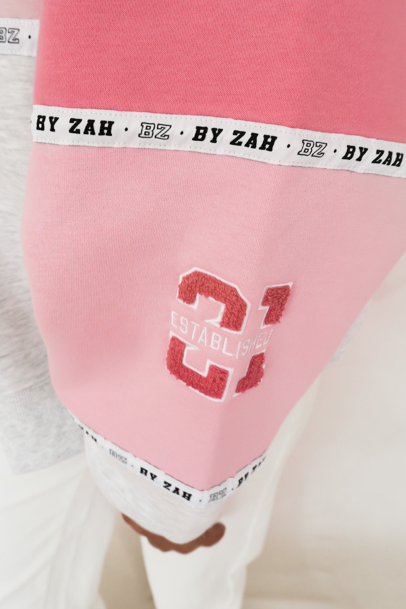 Paxton Panel Crew Pink