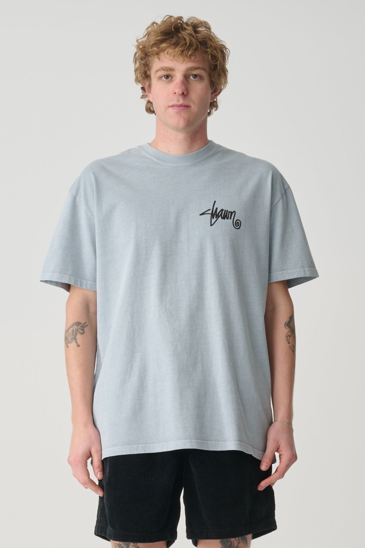Roots Dot Tee Washed Steel
