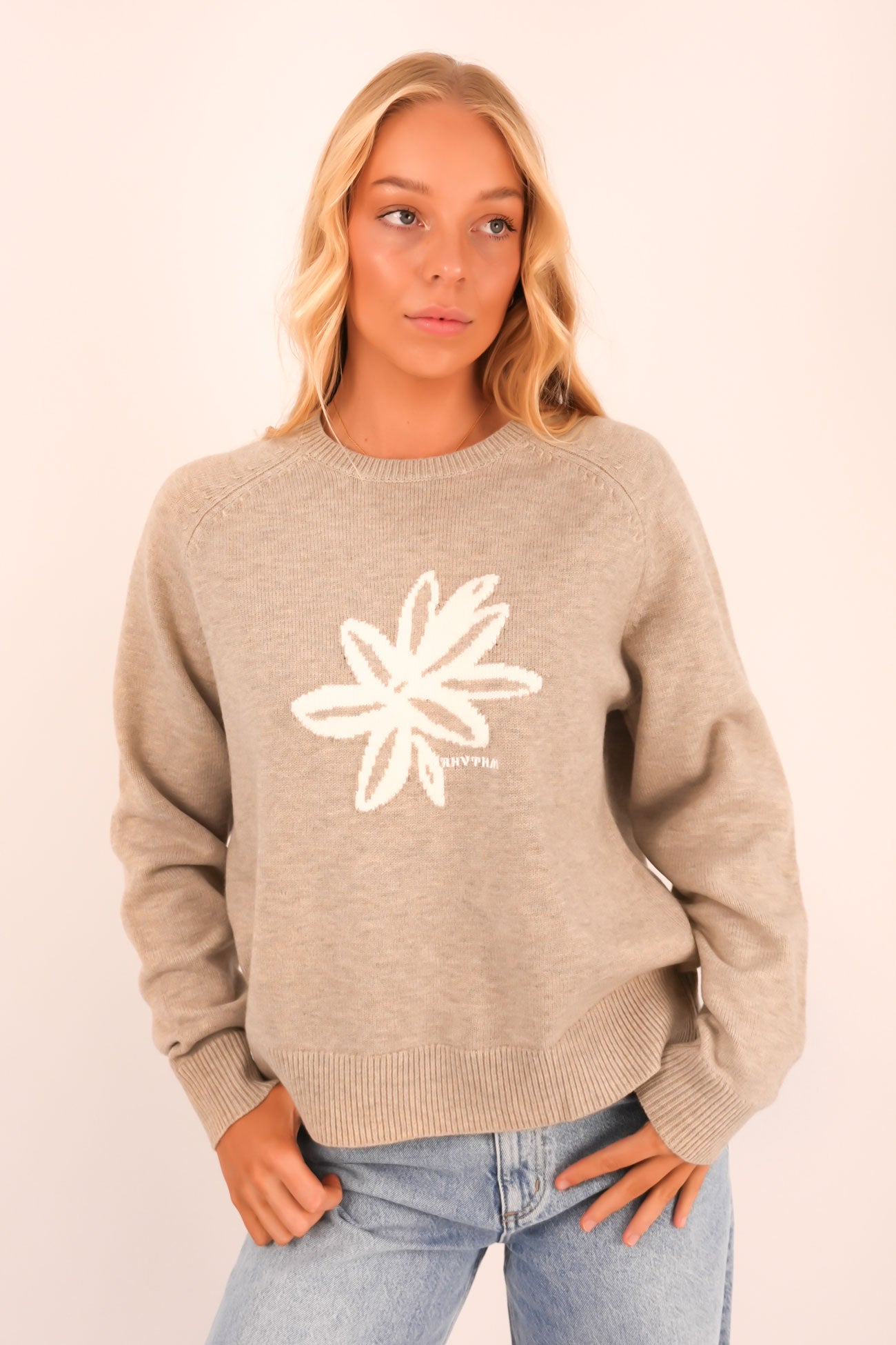 Sanctuary Crew Neck Knit Jumper Taupe