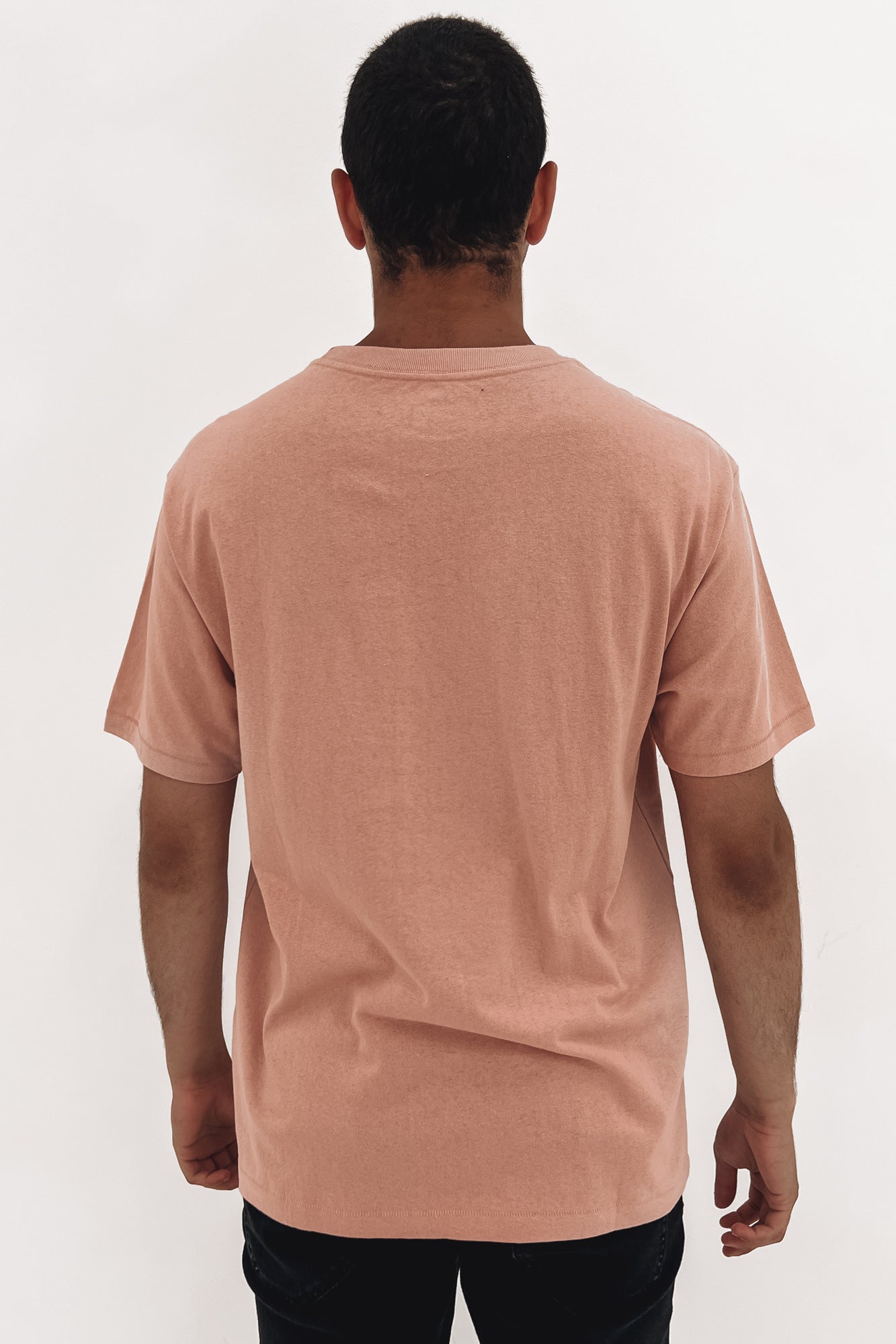 RVCA Teamster Short Sleeve Tee Pale Mauve
