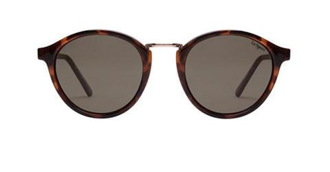 Paradox Tort Le Specs - Jean Jail