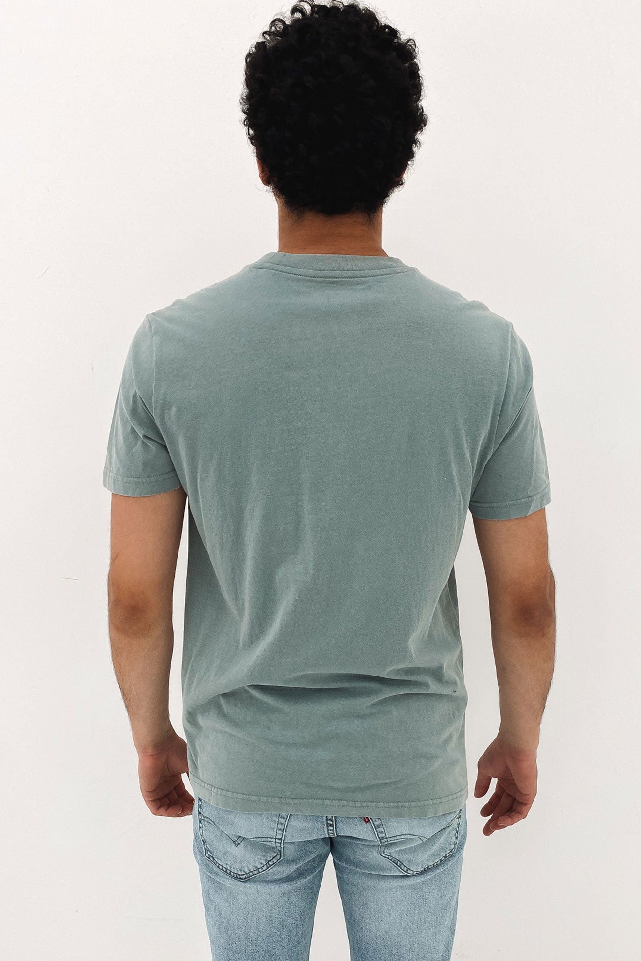 RVCA Mini Flipped Short Sleeve Tee Scrub