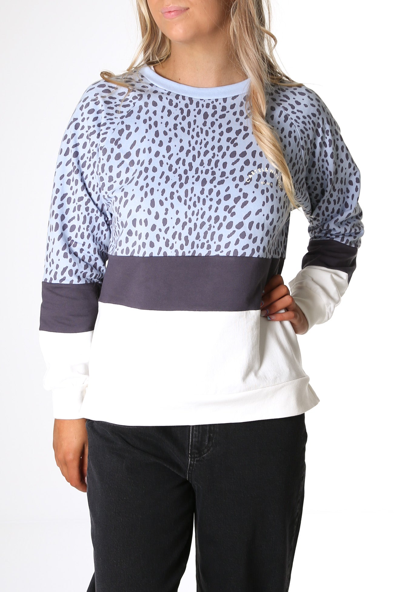 Tilly Sweater Blue Leopard