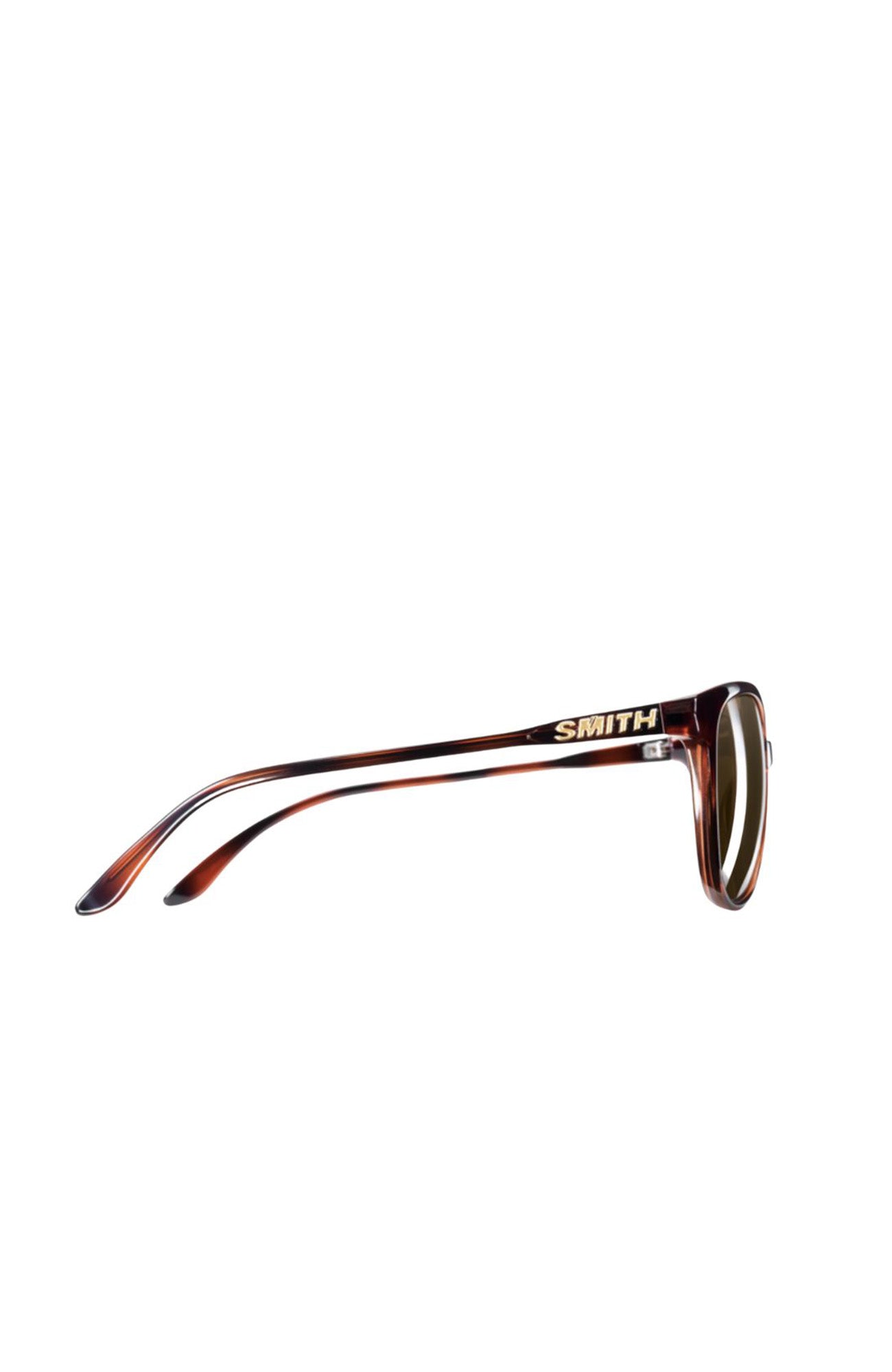 Cheetah Tortoise // Polarized Brown Gradient