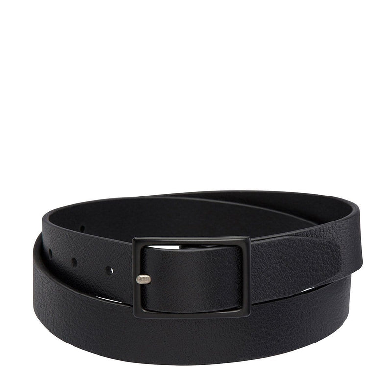 Assertion Belt Black Status Anxiety - Jean Jail