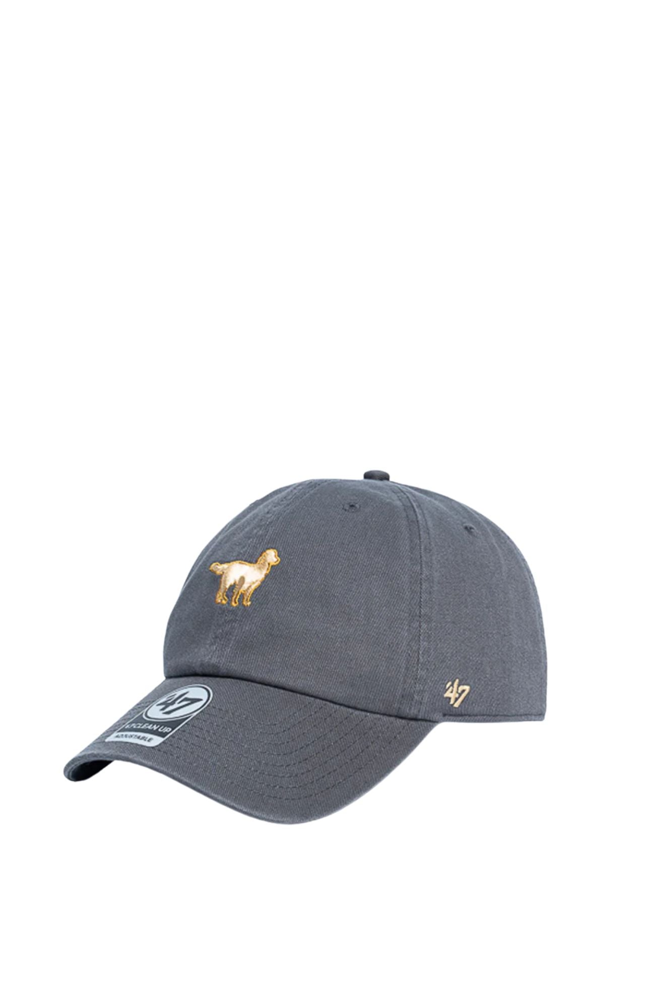 '47 Clean Up Icon Golden Retriever Charcoal