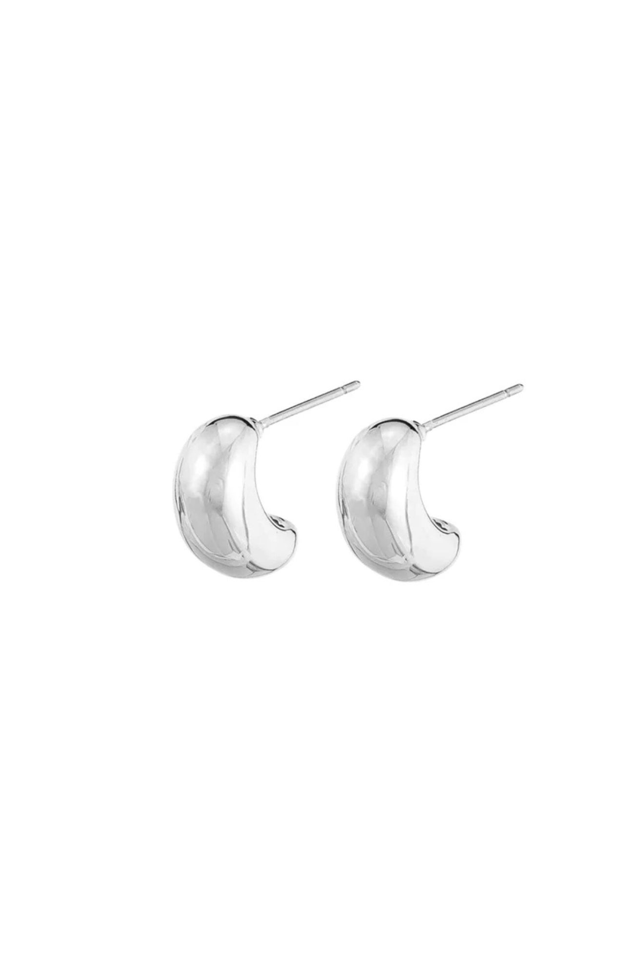 Rumi Earrings Silver