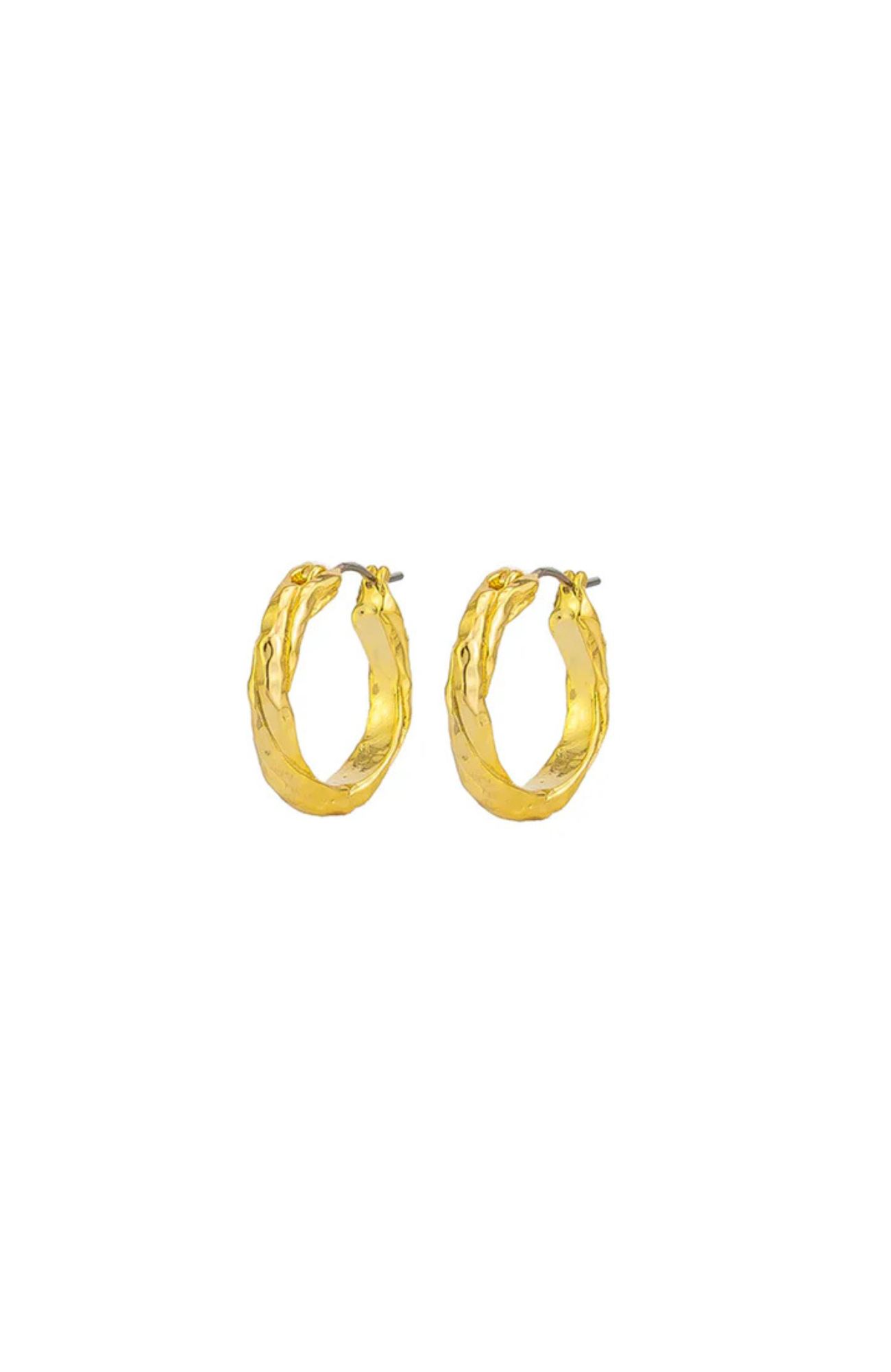 Catalina Hoops Gold