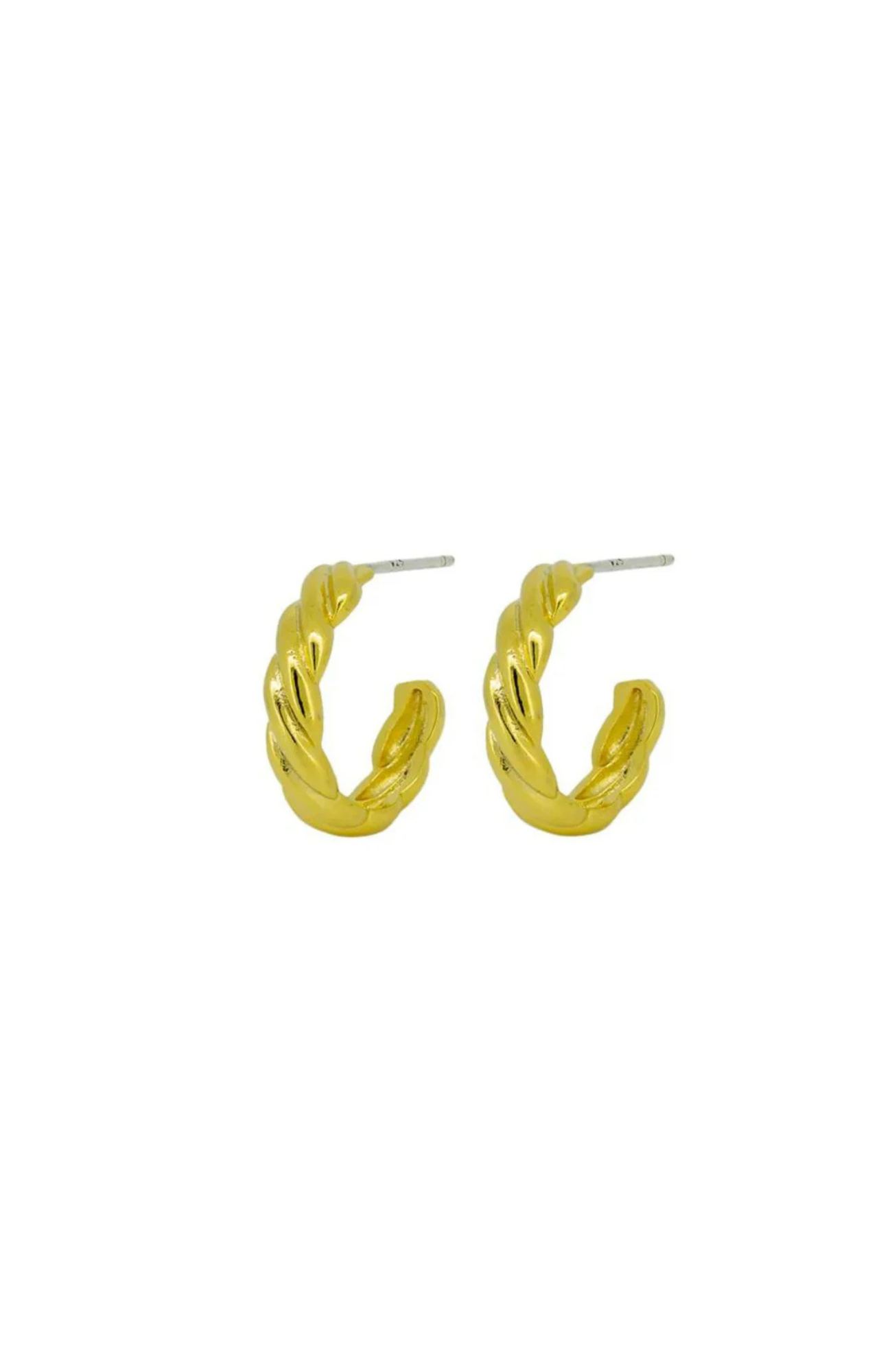 Ambre Earrings Gold