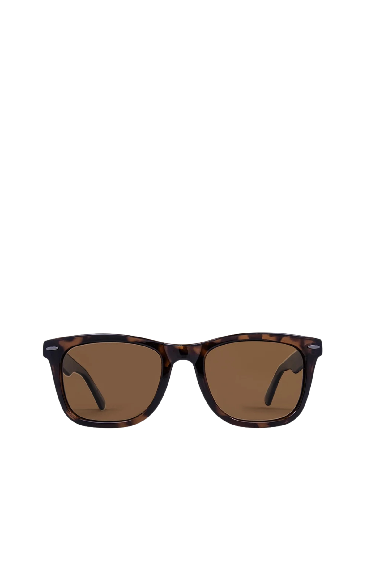 Wow Vision Polarized // Gloss Tort