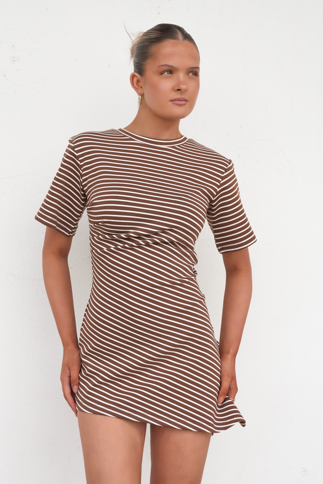 Courtney Mini Dress Brown Stripe