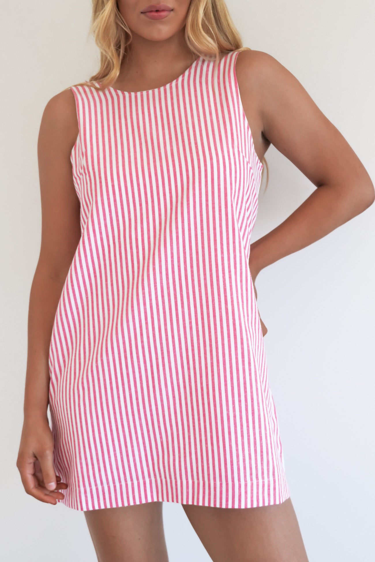 Franca Mini Dress Stripe