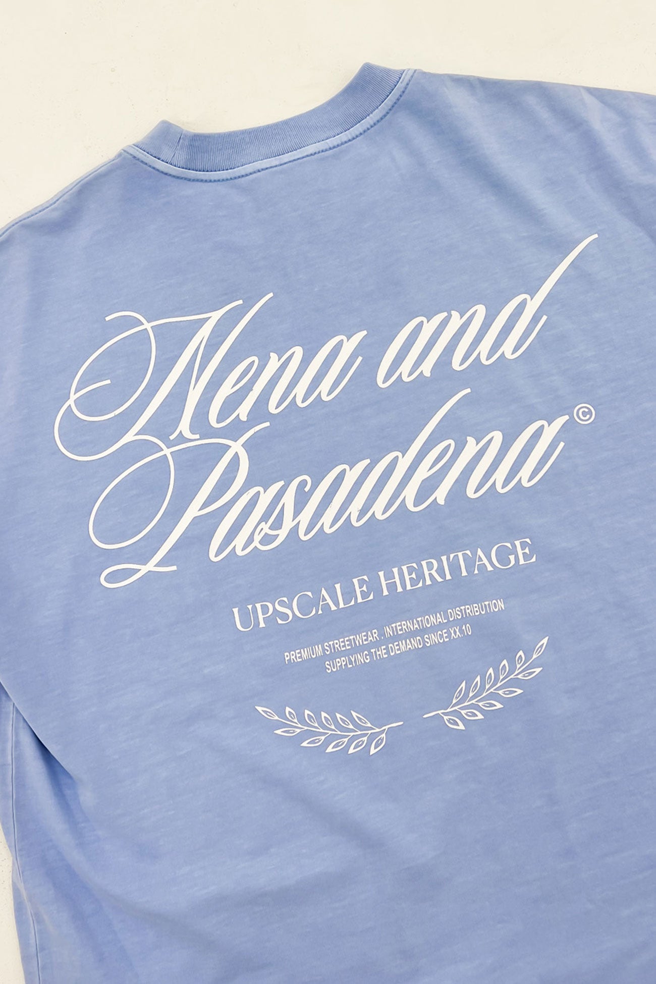 Gentlemen Raptor Tee Pigment Blue Bell