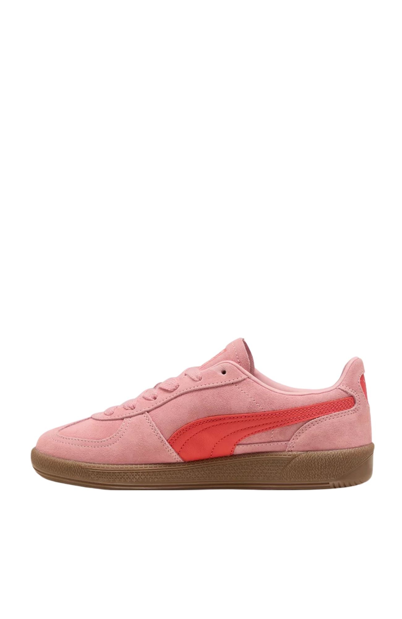 Palermo Rosy Outlook Gum