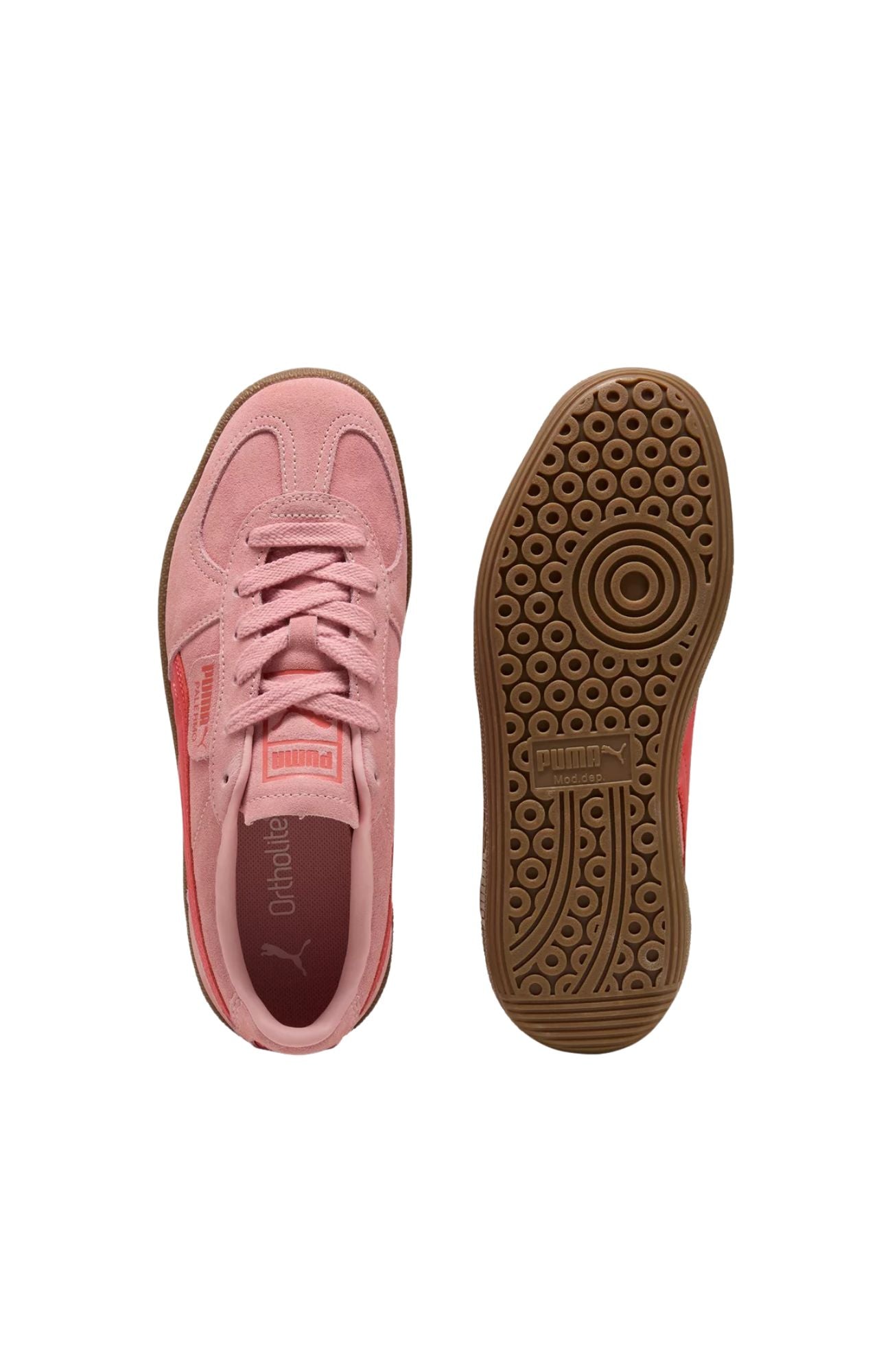 Palermo Rosy Outlook Gum