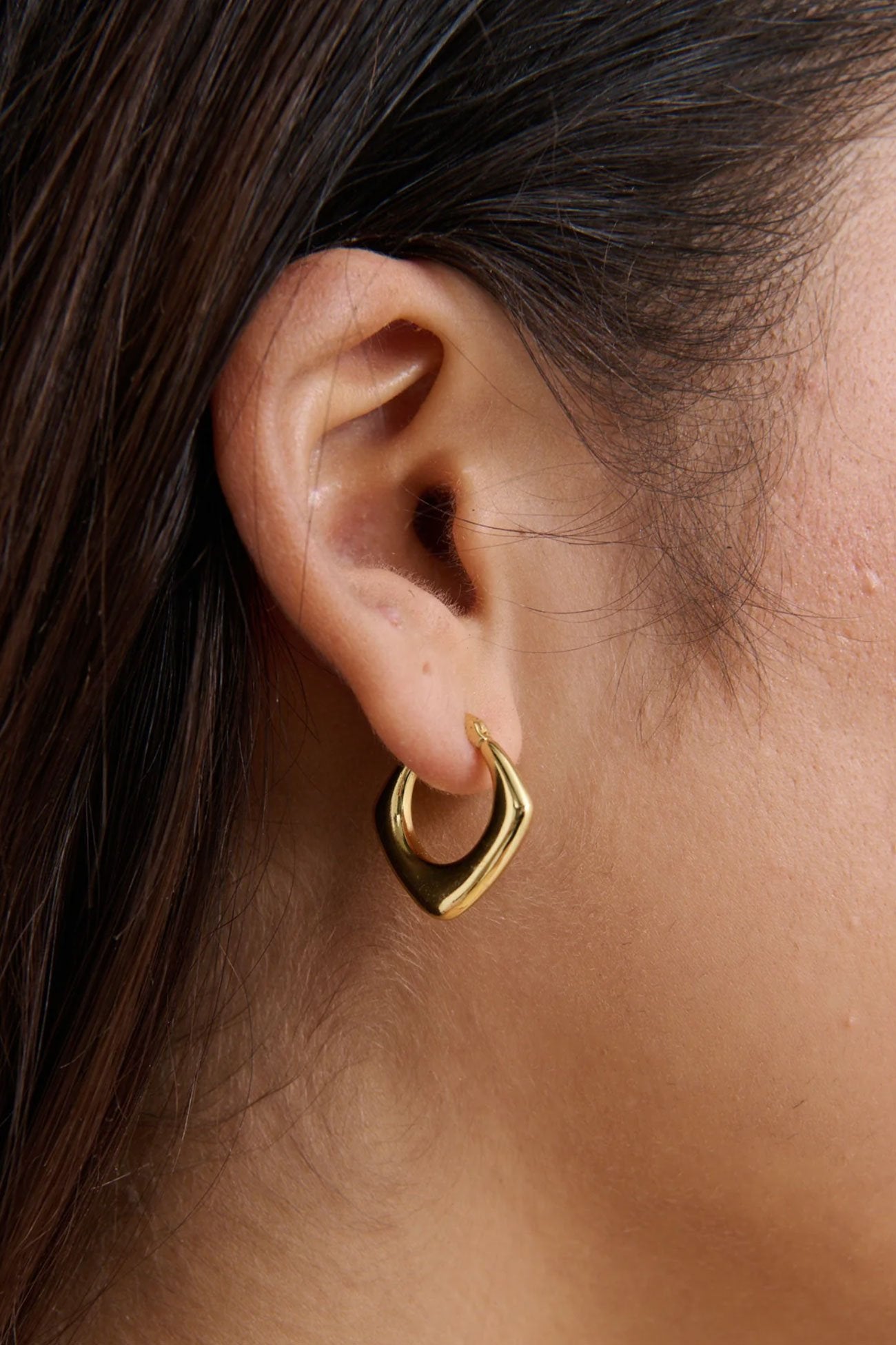 Erica Earrings Gold