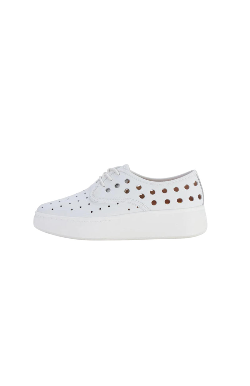Derby City Circle White