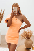 One Desire Mini Dress Peach