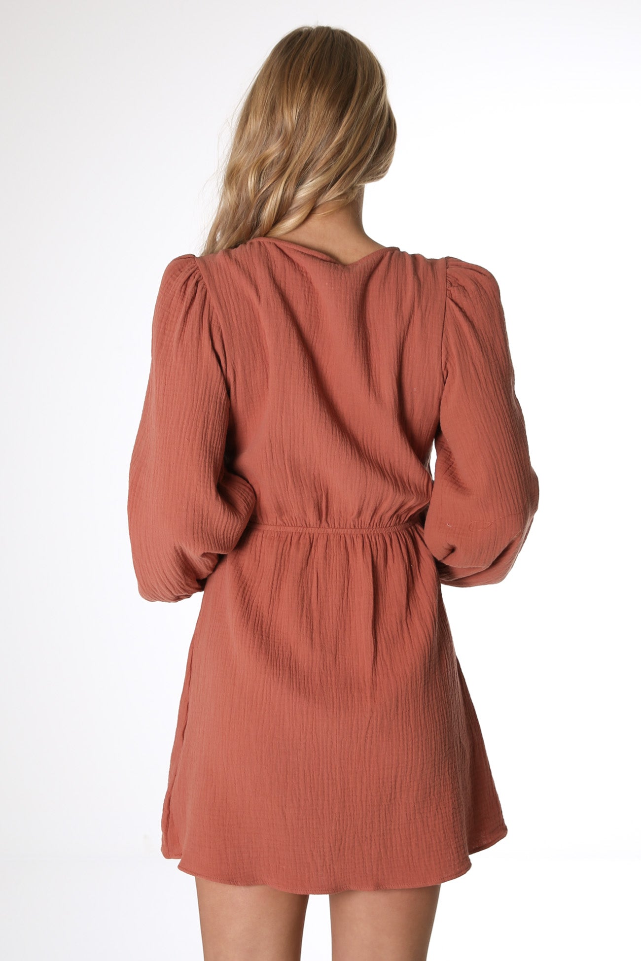 Owen Mini Dress Rust