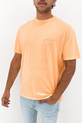 Pigment Stussy Designs Short Sleeve Tee Pigment Air Blue
